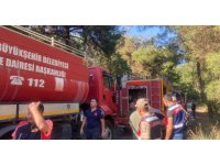 Erzin’de çıkan orman yangını söndürüldü