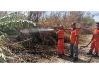 Antalya’da sazlık yangınına havadan ve karadan hızlı müdahale