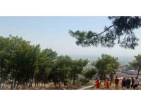 Hatay’da ormanlık alandaki örtü yangını söndürüldü