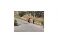 Çocukların üzerine motosikletini süren gence 16 bin 380 TL ceza