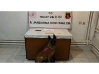 Hatay’da bin 51 adet captagon hap ele geçirildi