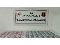 Kasap dükkanında kumar oynarken yakalandılar