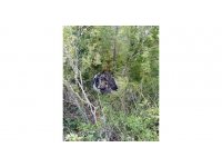 Kontrolden çıkan otomobil uçuruma yuvarlandı