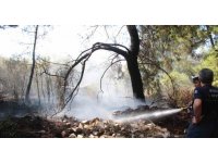 Ormanlık alandaki yangın büyümeden söndürüldü