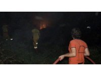 Sazlık alanda korkutan yangın, ormancılar ile itfaiye müdahale etti