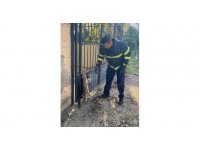 Hatay’da parmaklıklara sıkışan kedi kurtarıldı