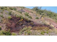 Osmaniye’de çıkan orman yangını söndürüldü