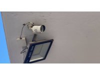 Kazada ölen kedi için eczacılara taşla bıçakla saldırdılar