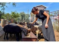 ‘Hadi gel köyümüze destek verelim’ projesi büyümeye devam ediyor