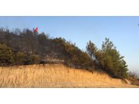 Aksu’da çıkan orman yangını söndürüldü