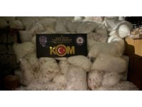 Adana’da 112 milyon 500 bin adet gümrük kaçağı makaron ele geçirildi