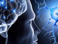 Ms Kaderiniz Olmasın