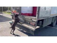 Ev eşyası arasında uyuşturucu sevkiyatı