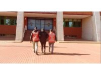 Isparta’da hapis cezası ile aranan şahıs pencereden kaçmaya çalışırken yakalandı