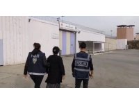 Hırsızlık suçundan aranan 2 kuma evin gizli bölmesinde yakalandı