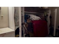 Hatay’da uyuşturucu operasyonu: 2 kişi tutuklandı