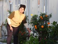 Kadın eli değen konteyner kent sokakları yeşile büründü