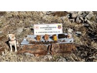 Kahramanmaraş’ta 3 haftada uyuşturucu sattığı öne sürülen 188 kişi yakalandı