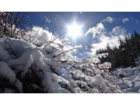 Beyaza bürünen Toroslar’da kartpostallık görüntüler oluştu