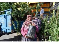 Mersin’de üreticilere badem fidanı desteği