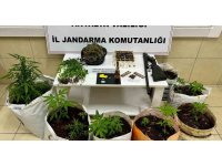 Uyuşturucu operasyonunda yarım kilogram metamfetamin yakalandı