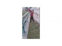 TikTok’ta paylaşmak için kediyi ırmağa atmışlardı, gözaltına alındılar