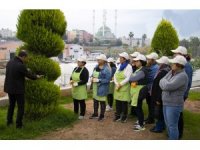 Mersin’de kadınlara uygulamalı budama eğitimi