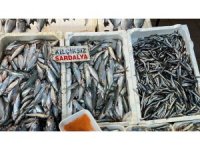 Sardalya ve hamsi balıkçıların yüzünü güldürüyor