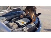 Aracın motorunda uyuşturucu çıktı