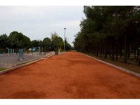 Barış Ormanı yenilendi