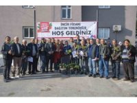 Mersin Büyükşehir Belediyesinden üreticilere incir fidanı desteği
