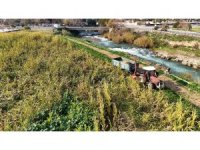 Tarsus Belediyesi üreticilere 50 ton silajlık mısır dağıtacak