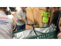 Diş hekimi başından silahla vurulmuş halde ölü bulundu