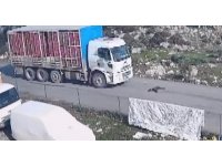 Kamyon köpeği ezdi, o anlar kameraya yansıdı