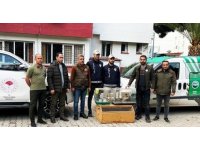 Osmaniye’de yasaklı kuş satan iş yerine 41 bin 817 TL para cezası