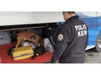 Osmaniye’de iki farklı yolcu otobüsünde uyuşturucu madde ele geçirildi