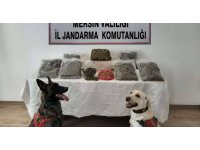 Mikrodalgadan bile uyuşturucu çıktı, 2 şüpheli tutuklandı
