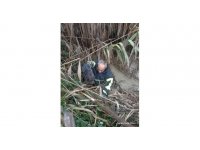 Dereye düşen yavru köpeği itfaiye ekipleri kurtardı