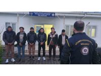 Osmaniye’de 6 kaçak göçmen yakalandı, 1 organizatör tutuklandı
