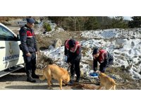 Jandarma, zorlu kış şartlarında sokak hayvanlarını unutmadı