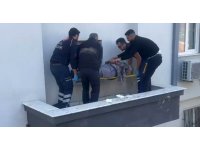 Çatıdaki güneş enerjisi panelini düzeltmek isterken canından oluyordu