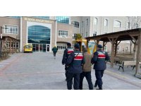 Jandarmanın siber devriyesinde yakalanan 4 kişi tutuklandı