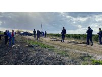 Otomobil koyun sürüsüne daldı 50 hayvan telef oldu