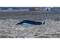 Hafif ticari aracın çarptığı yaya hayatını kaybetti