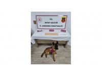 Evinde uyuşturucu madde ele geçirilen şahıs gözaltın alındı