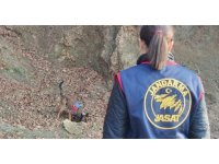 Kan donduran cinayette katil zanlısının yasak aşktan dünyaya gelen çocuklarını öldürdüğü ortaya çıktı