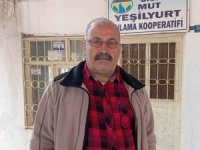 Roma dönemine ait Sinobiç kalıntıları ilgi bekliyor