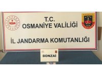 Osmaniye’de jandarmadan uyuşturucu ve kaçakçılık operasyonları: 25 gözaltı
