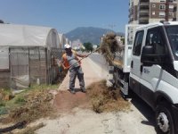 Büyükşehir, Finike’de temizlik çalışması gerçekleştirdi