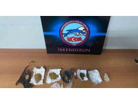 Hatay’da aranan 9 şahıs yakayı ele verdi
